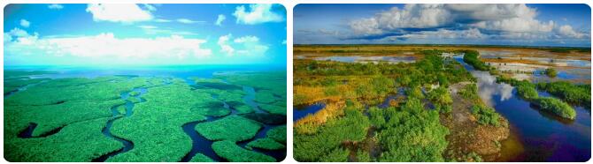 The Weather in Everglades, Florida